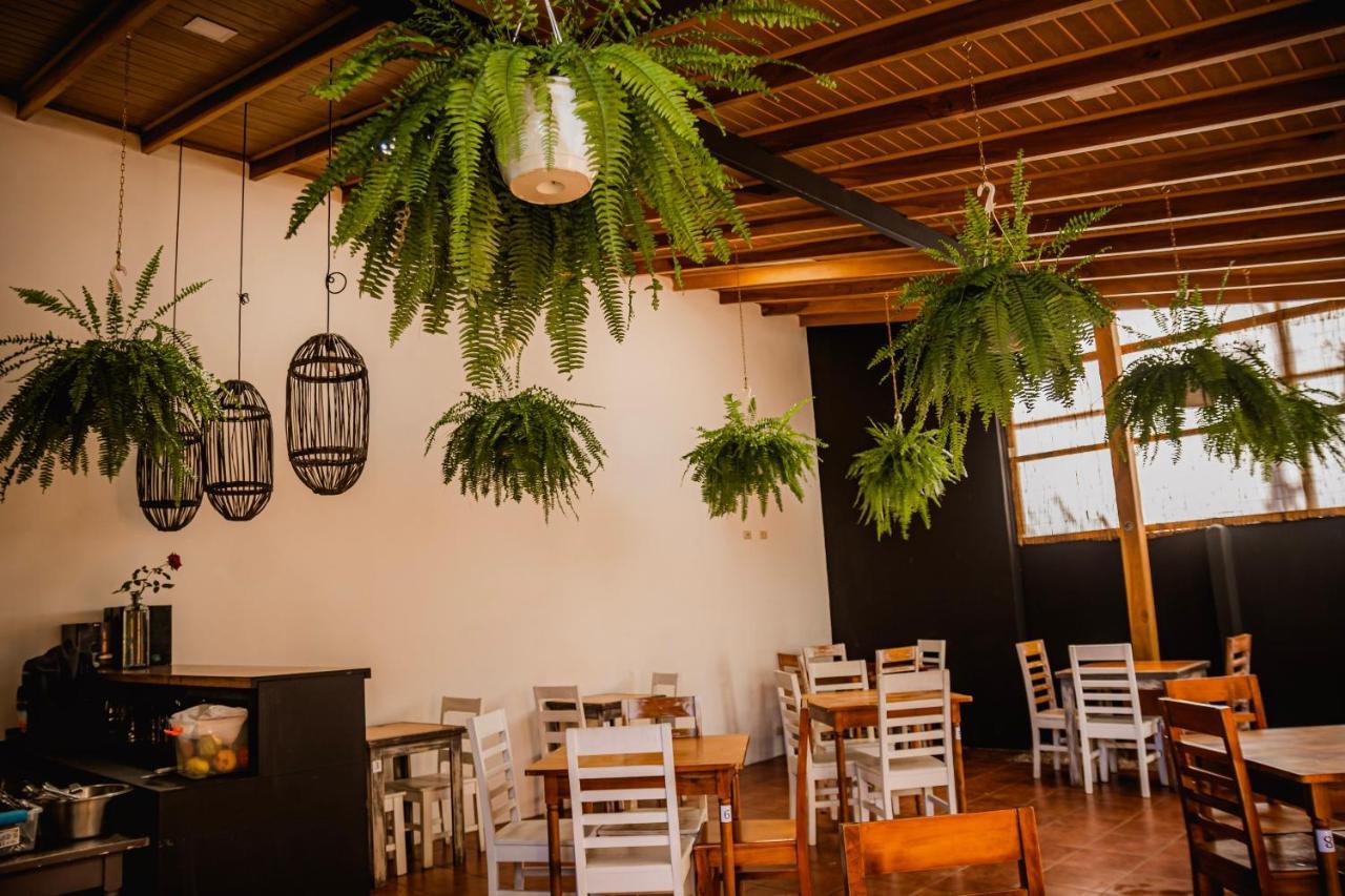 סן חוזה Luz De Luna Hotel Barrio Escalante מראה חיצוני תמונה