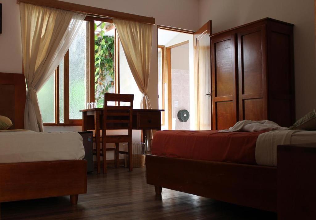 סן חוזה Luz De Luna Hotel Barrio Escalante מראה חיצוני תמונה